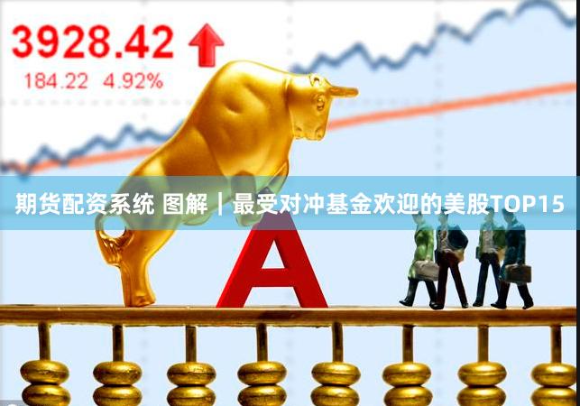 期货配资系统 图解｜最受对冲基金欢迎的美股TOP15