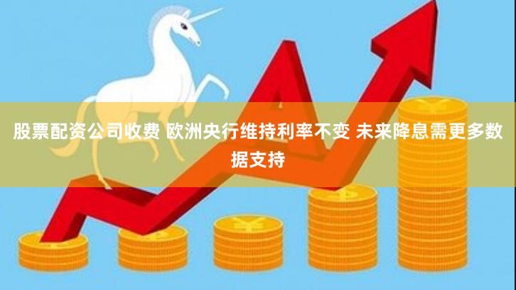 股票配资公司收费 欧洲央行维持利率不变 未来降息需更多数据支持