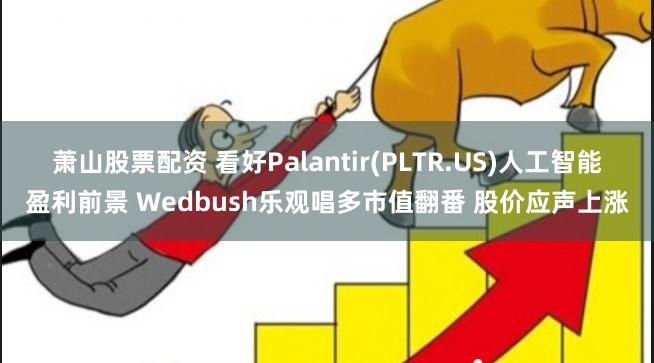 萧山股票配资 看好Palantir(PLTR.US)人工智能盈利前景 Wedbush乐观唱多市值翻番 股价应声上涨