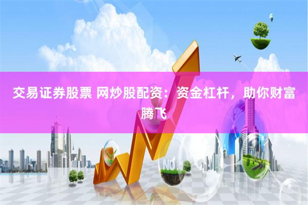 交易证券股票 网炒股配资：资金杠杆，助你财富腾飞