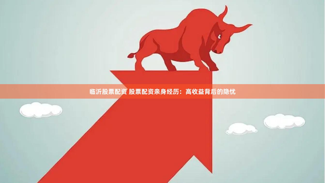 临沂股票配资 股票配资亲身经历：高收益背后的隐忧