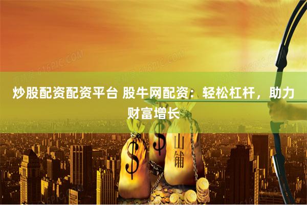 炒股配资配资平台 股牛网配资：轻松杠杆，助力财富增长